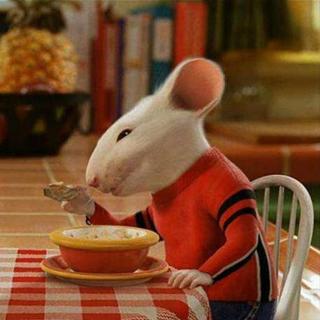 Stuart Little - Chapter 11