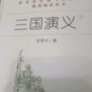 《三国演义》