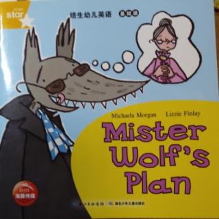 mister  wolf's  plan