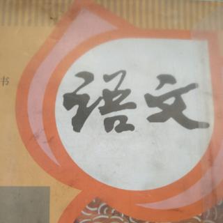 曹冲称象