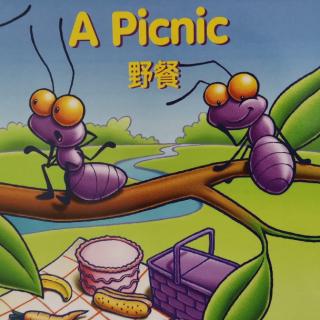 丽声视觉词-A picnic-Allen