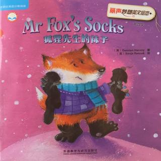 Mr Fox's Socks