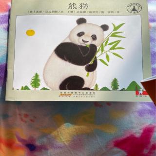 小小自然图书馆-熊猫