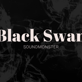 （BTS 防弹少年团）Black Swan / SdM