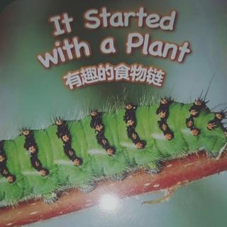 It Started with a Plant