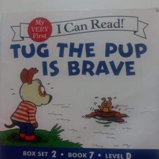 Tug the pup is brave