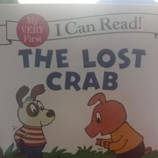 The lost crab