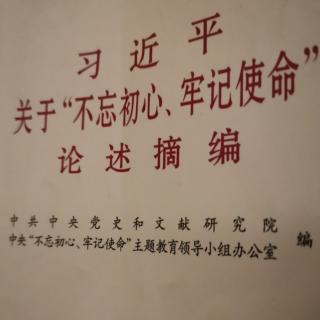 《不忘初心，牢记使命》65