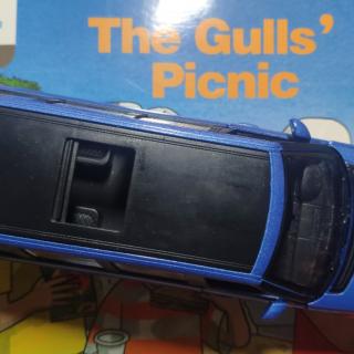 the gulls'picnic