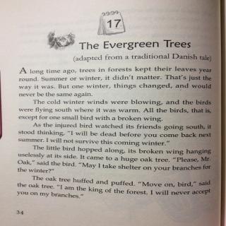 11-17 The Evergreen Trees