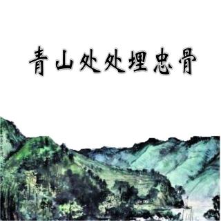 五下第十课·青山处处埋忠骨