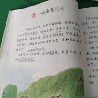 一匹出色的马