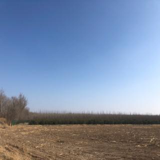 余生还长,莫慌张