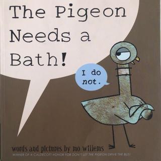 【Rainy读绘本】The Pigeon Needs a Bath 鸽子需要洗个澡