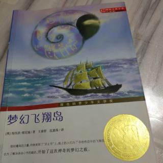 《梦幻飞翔岛》        91页～106页