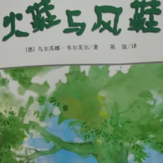 张铮豪和妈妈朗读火鞋7到28页