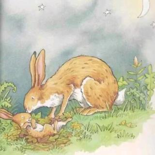 【睡前故事589】飞翔幼儿园老师妈妈❤晚安故事《大兔子和小兔子》