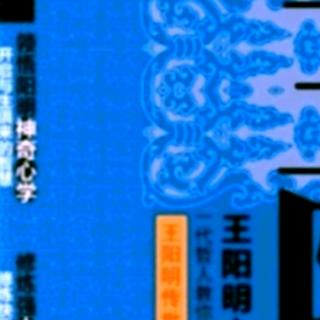 35《王阳明心学》第8章 朗读者：惜尘（来自FM102659794)