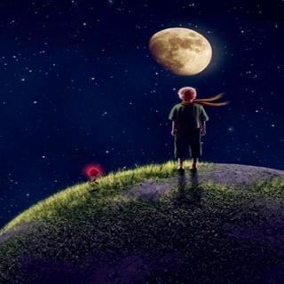 The Little Prince-part one
