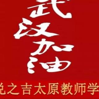 武汉不哭 作者:碑林路人