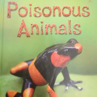 20200129 Poisonous  animal