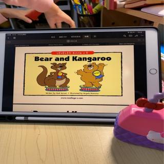 bear and kangaroo