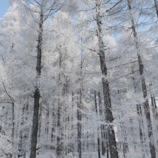 风是我的母亲之与地球对话