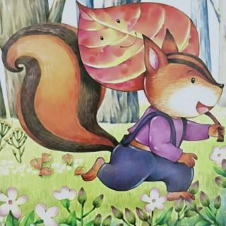小松鼠和红树叶手抄报图片