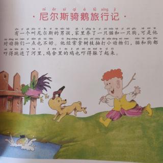 (27)周梓琪《尼尔斯骑鹅旅行记》