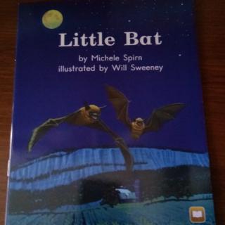 Little  Bat