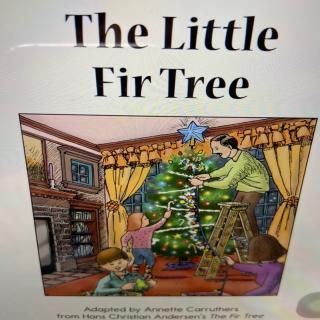 The little fir tree