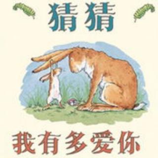 《猜猜我有多爱你》