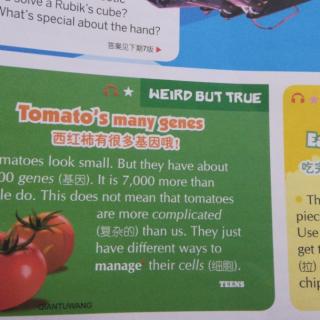 英语报 西红柿有很多基因
