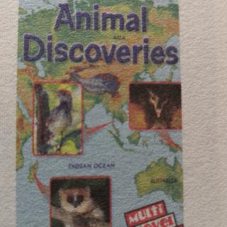 Animal Discoveries