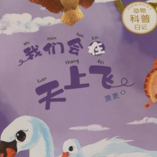 《我们会在天上飞》之螳螂日记