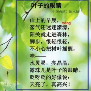 《叶子的眼睛》陈木城