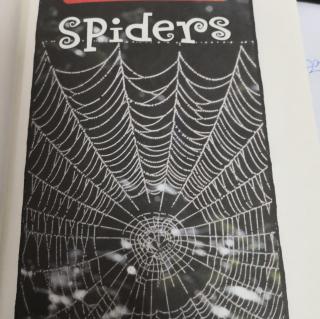 SPIDERS