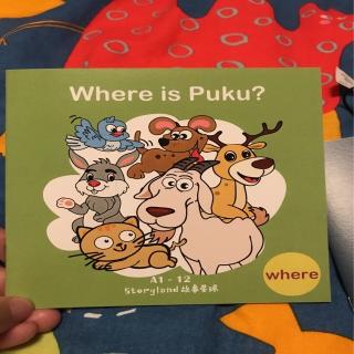 Where is Puku