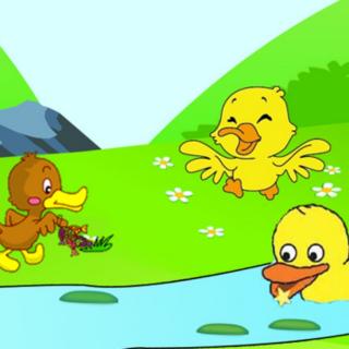 小公鸡和小鸭子漫画图图片