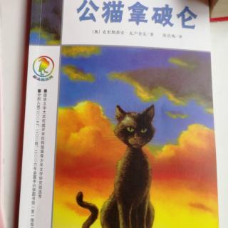 小名士朗读家陈美佳《公猫拿破仑》（恋爱中的母牛）