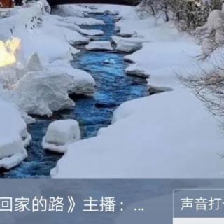 《醉雪》主播：莲之韵