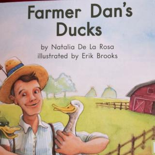 Farmer Dan's Ducks