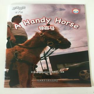 周沁玮-A Handy Horse