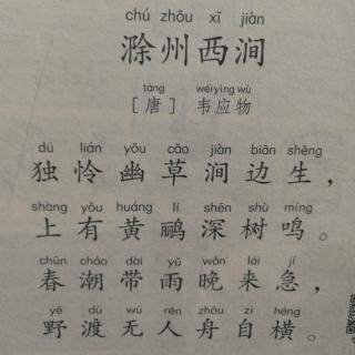 《滁州西涧》 唐 韦应物