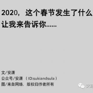 《2020，这个春节发生了什么？》