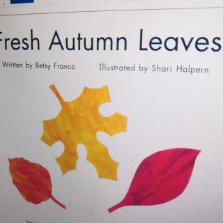 fresh autumn leaves