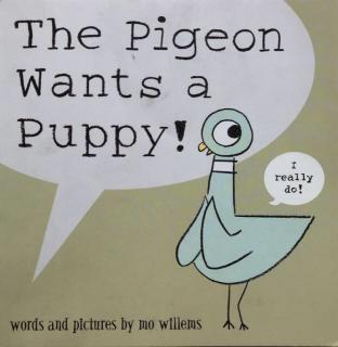 《Rainy 读绘本》The Pigeon Wants a Puppy 鸽子想要一只小狗