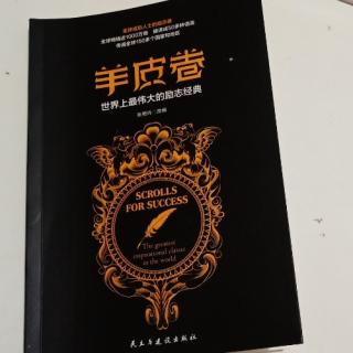 羊皮卷《你能做到比现在更好》