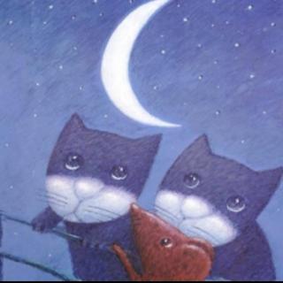 绘本故事《夜晚的猫和鼠》