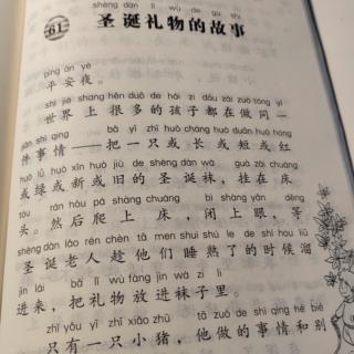 《圣诞礼物的故事》